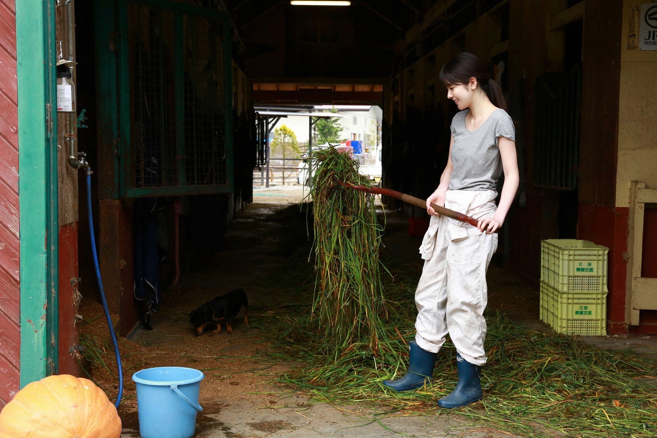 YS-Web-Vol.738 Erika Karata 唐田えりか